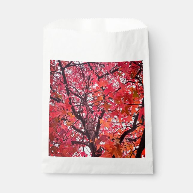 Sachets En Papier Feuille rose (Devant)