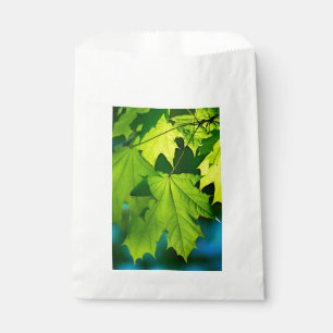 Sachets En Papier Feuilles d'érable vert frais