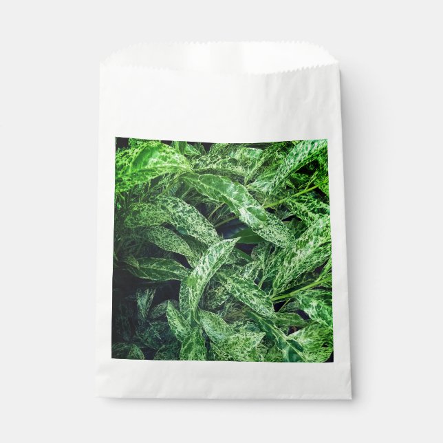 Sachets En Papier Feuilles verts (Devant)