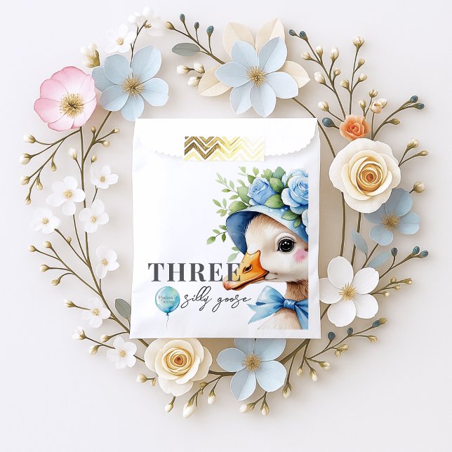 Sachets En Papier Floral Coquette Bow Silly Goose Boy Birthday  (Créateur téléchargé)