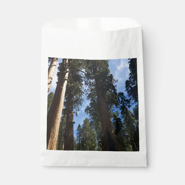 Sachets En Papier Giant Sequoia (Devant)