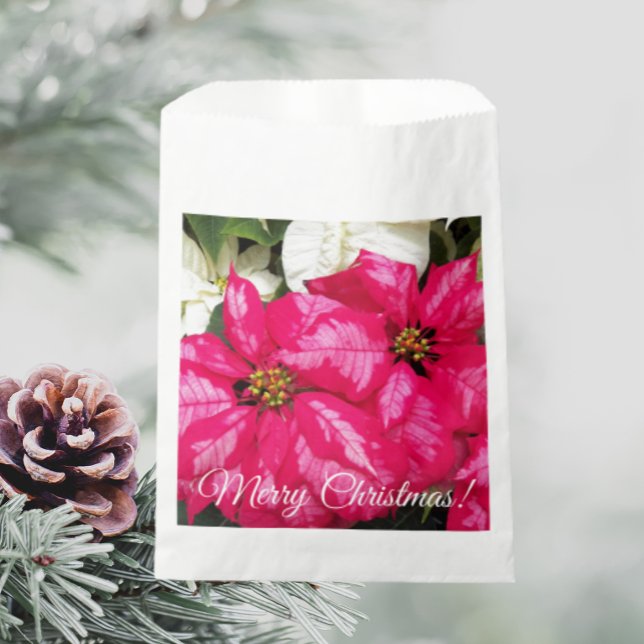 Sachets En Papier Joyeux Noël Rose Varié Poinsettias Floral (In Situ Holiday)