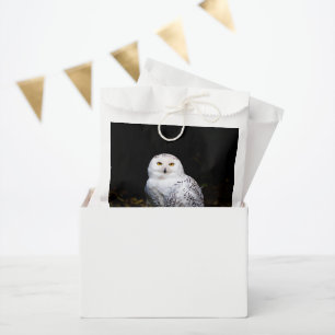 Sachets En Papier Magnifique harfang des neiges d'hiver