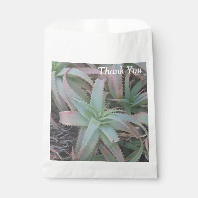 Sachets En Papier Nevada succulents (Devant)