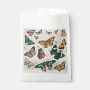Sachets En Papier Papillons Collection Antique Papillons
