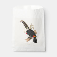 Peinture animalière d'antiquités Toucans