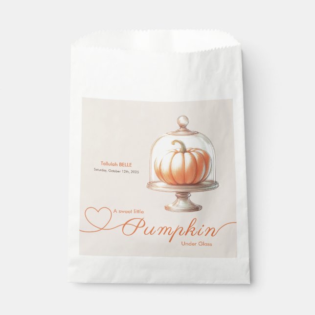 Sachets En Papier Petit Baby shower Citrouille - Automne Chic (Devant)