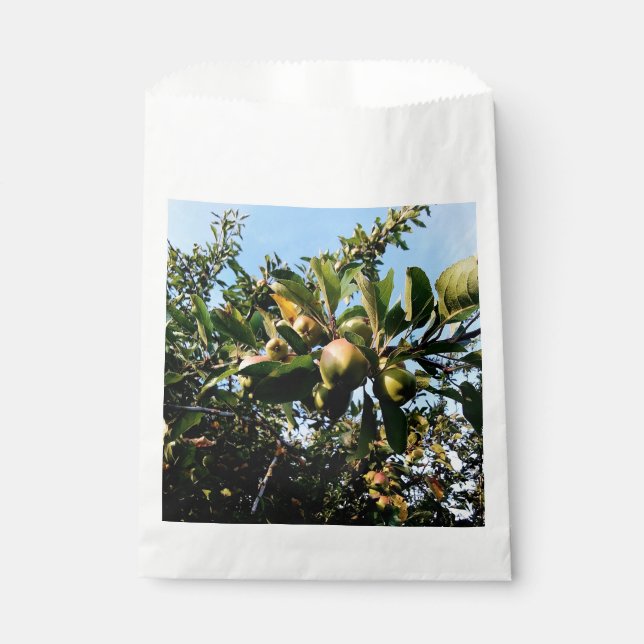 Sachets En Papier Pommes (Devant)