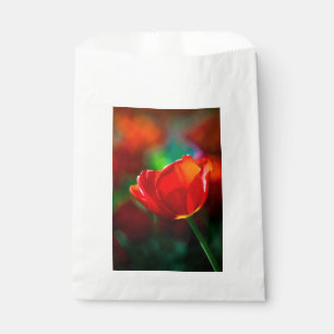 Sachets En Papier Tulipe rouge - Mystère de la floraison