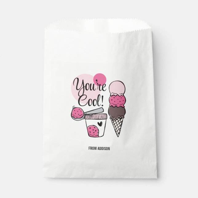 Sachets En Papier Vous êtes Cool Valentine's Day Favor Bag (Devant)