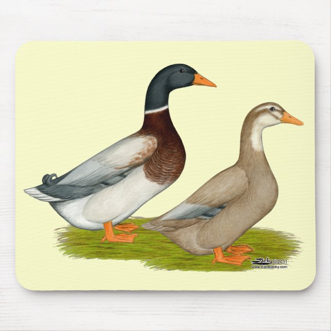 Sachsen Ducks Mousepad (Vorne)