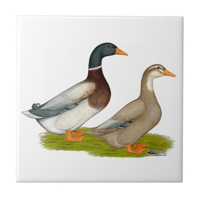 Sachsen-Enten Fliese (Vorderseite)