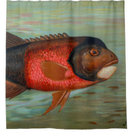 Sacramento Pike von John L Petrie Duschvorhang