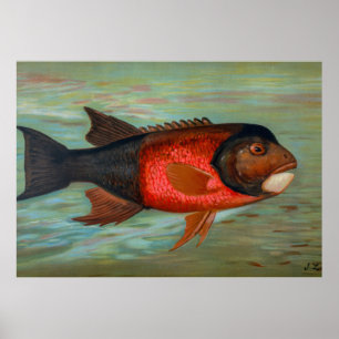 Sacramento Pike von John L Petrie Poster