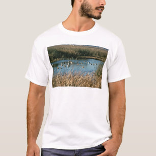 Sacramento-Staatsangehörig-Schutzgebiet T-Shirt