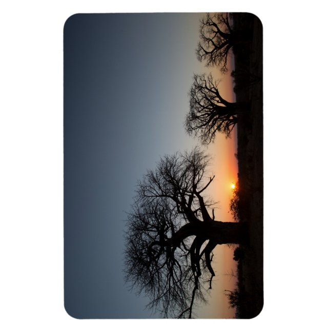 Sacred Baobabs Magnet (Vertikal)