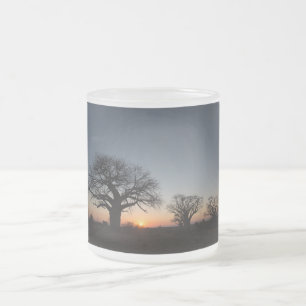 Sacred Baobabs Mattglastasse