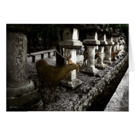 Sacred Deer von Nara Japan