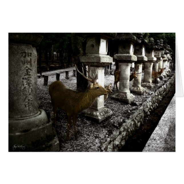 Sacred Deer von Nara Japan (Vorderseite (Horizontal))