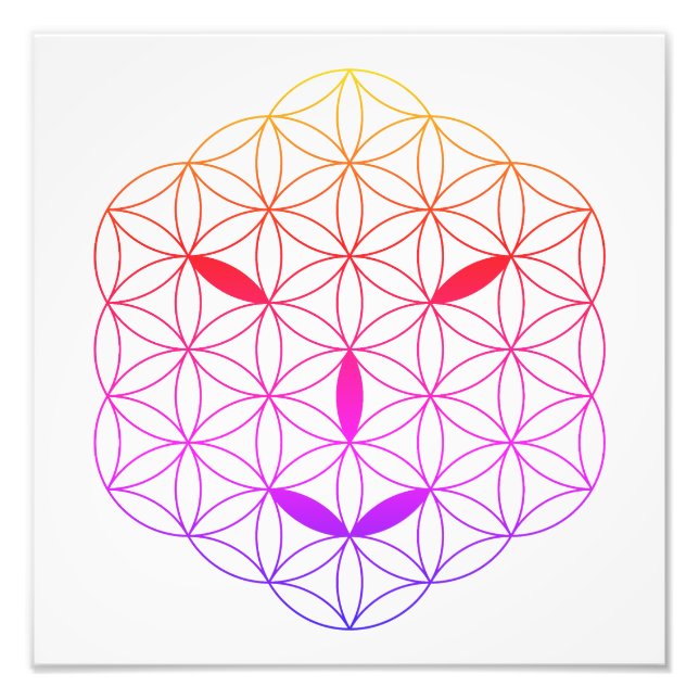 Sacred face - Arcturian 02, CF-Tr. Fotodruck (Vorne)