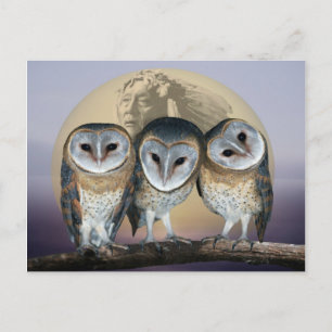 Sacro Owl North Amerikanische Ureinwohner Postkarte