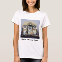 Sacro Owl North Amerikanische Ureinwohner