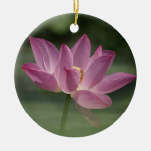 Sacro Pink Lotus Blossom - Serene Zen Kunst, Dicht Keramik Ornament