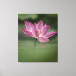 Sacro Pink Lotus Blossom - Serene Zen Kunst, Dicht Leinwanddruck