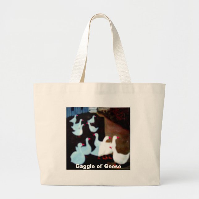 SACS (Devant)