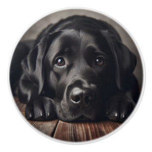 Sad Black Labrador Retriever Hund Tier Tier Keramikknauf