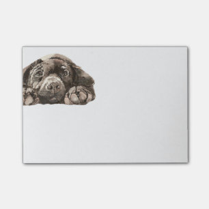 Sad Black Labrador Retriever Hund Tier Tier Post-it Klebezettel