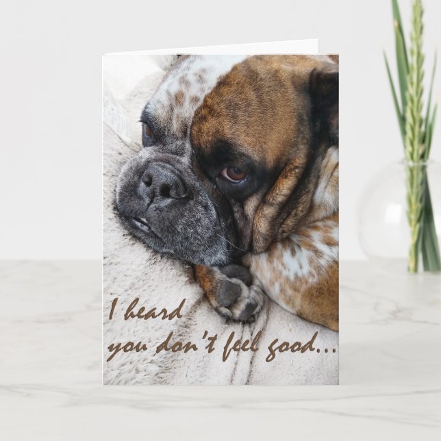 Sad Bulldog bekommt eine Sympathiekarte Dankeskarte (Vorderseite)