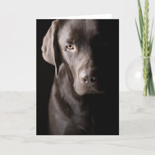 Sad Chocolate Labrador Karte