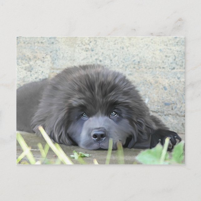 Sad Eyes Postkarte (Vorderseite)