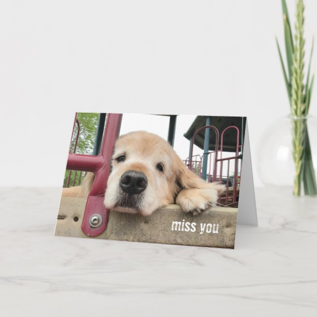 Sad Golden Retriever Hund Miss You Karte (Vorderseite)