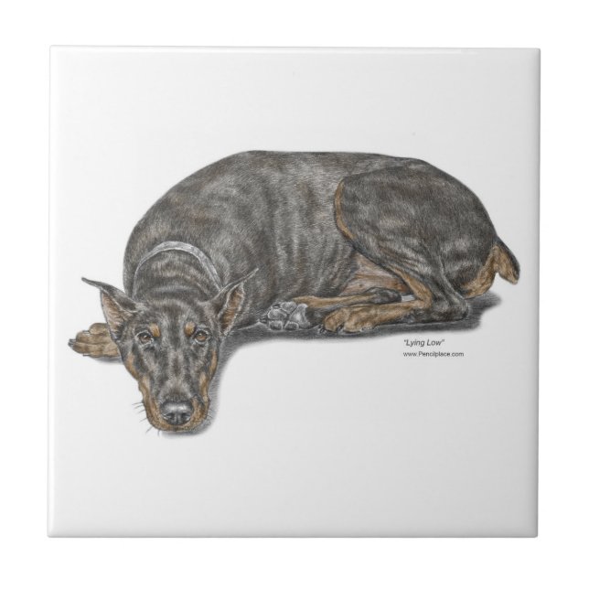 Sad Guilty Looking Doberman Fliese (Vorderseite)