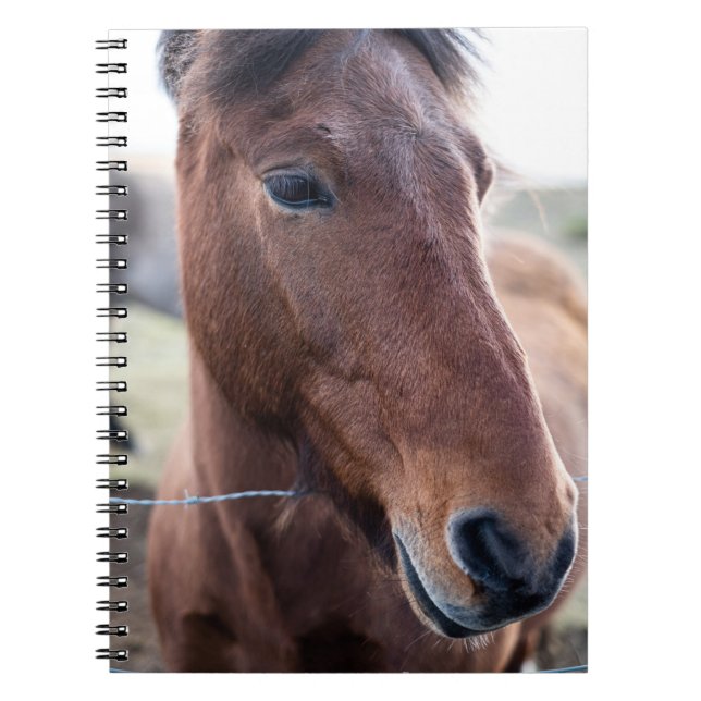 SAD HORSE NOTIZBLOCK (Vorderseite)