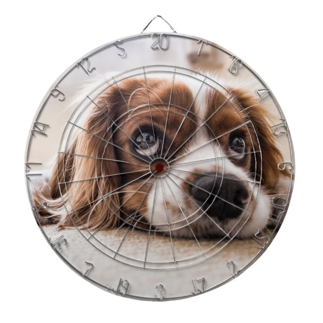 Sad-Mit Augen Cocker Spanierhund Dartscheibe (vorne)