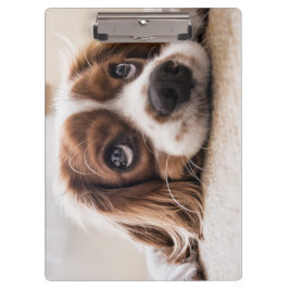 Sad-Mit Augen Cocker Spanierhund Klemmbrett