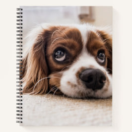 Sad-Mit Augen Cocker Spanierhund Notizbuch