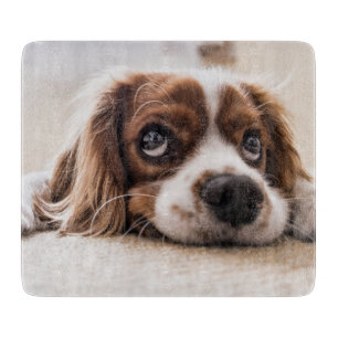 Sad-Mit Augen Cocker Spanierhund Schneidebrett