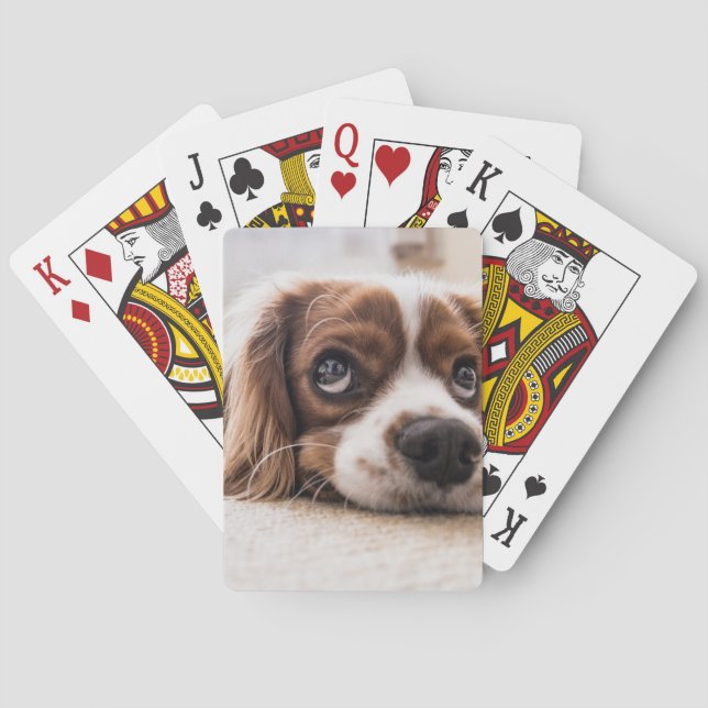Sad-Mit Augen Cocker Spanierhund Spielkarten (Rückseite)