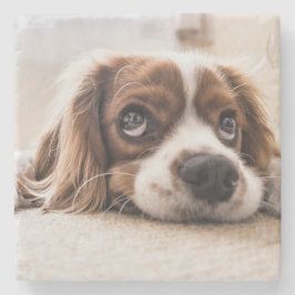 Sad-Mit Augen Cocker Spanierhund Steinuntersetzer