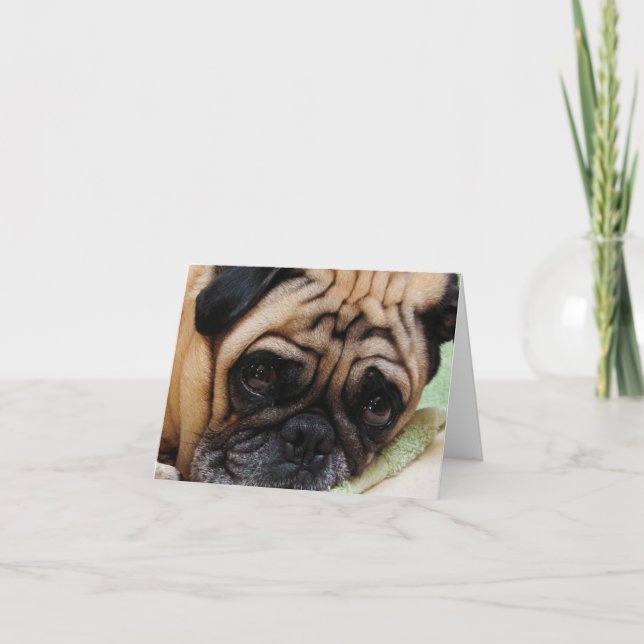 Sad Puggy Note Card Feiertagskarte (Vorderseite)