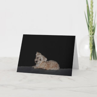 Sad Puppy Get Well Card Karte