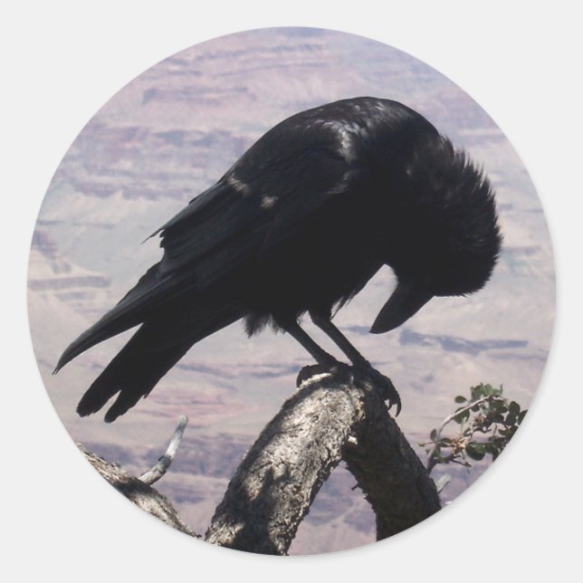 Sad Raven Stickers 01 (Vorderseite)