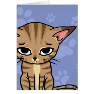 Sad Tabby Cat Kitten