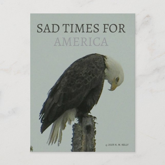 SAD TIMES FOR AMERICA - By - K. M. Kelly - Postkarte (Vorderseite)