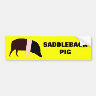 Saddleback Pig Anpassbarer Autoaufkleber