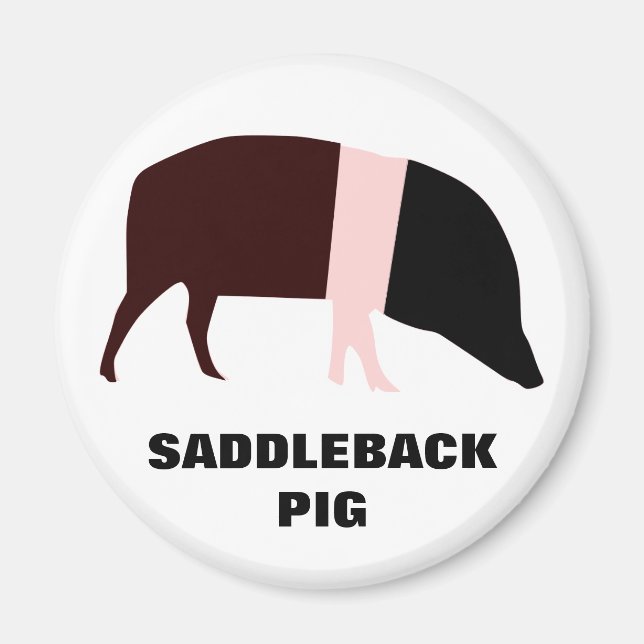 Saddleback Pig individualisierbares Magnet (Vorne)